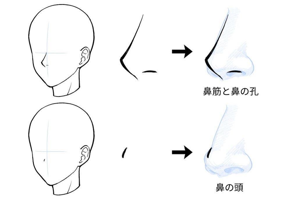 【板绘教程】鼻子怎么画才好看,简单又漂亮鼻子画法教程