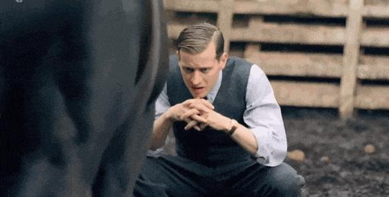 《万物生灵第六季》豆瓣9.4，秋季限定神剧回归！