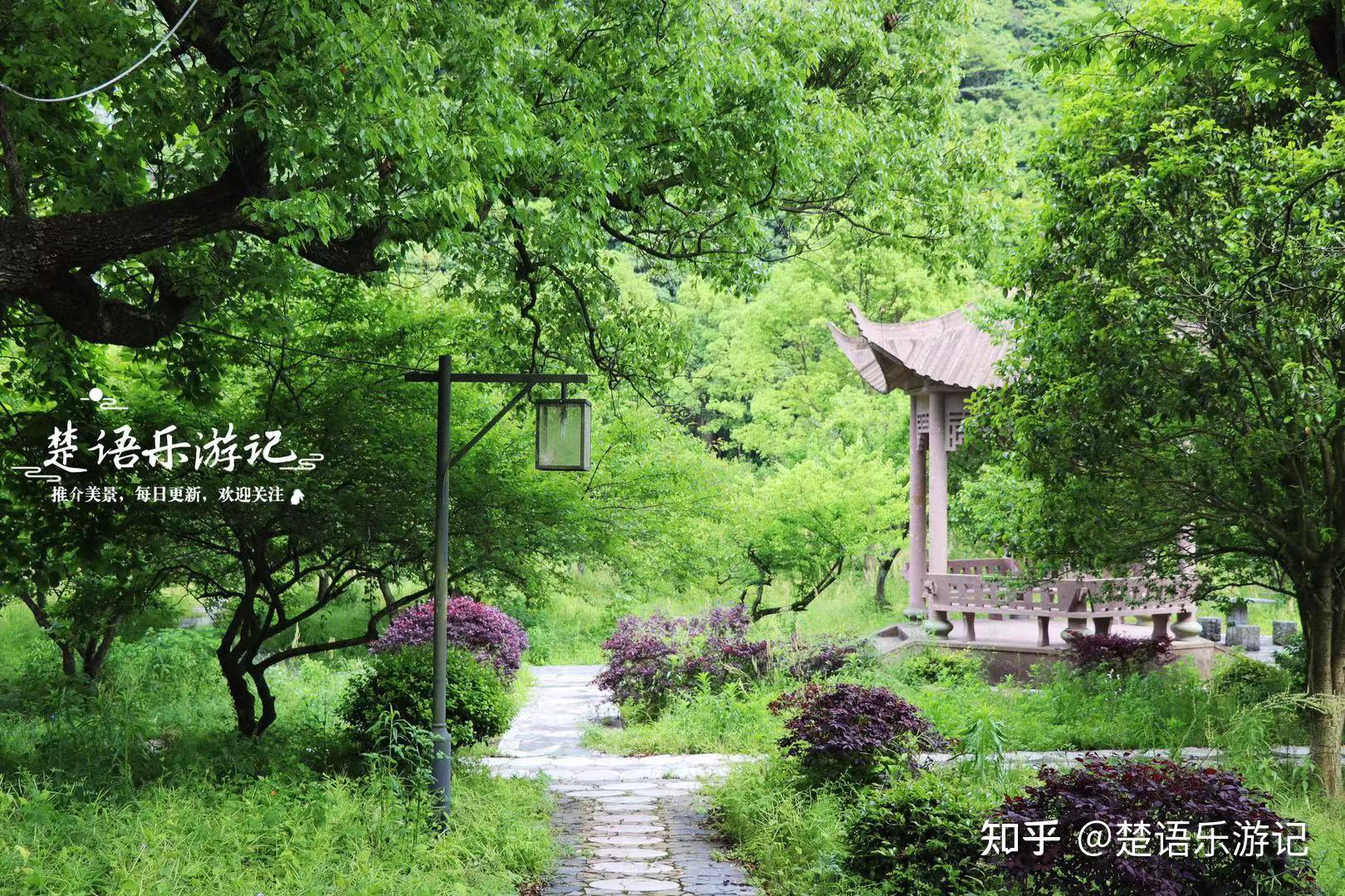 宁波南岙古村成为赏梅胜地,到底有多美?实地打卡发现别样风景 - 知乎