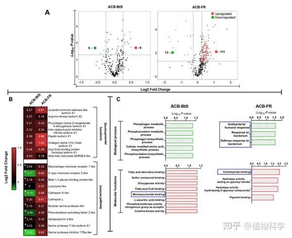 Frontiers In Immunology Bt 