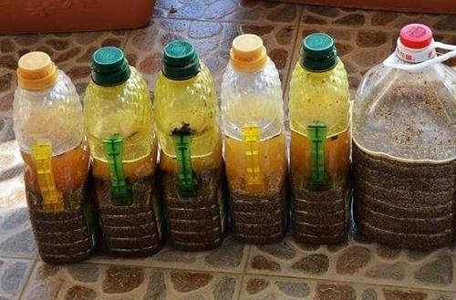 饼肥水和矾肥水分别是什么,如何制作施用?