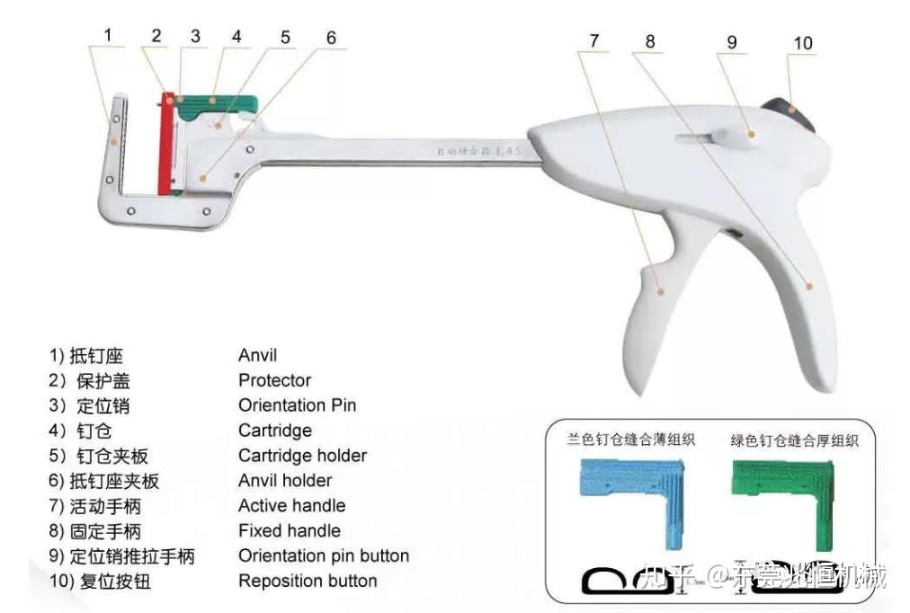 线形缝合器(circular stapler)