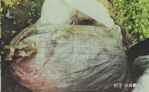 整整28年南医大女生被害案终于告破