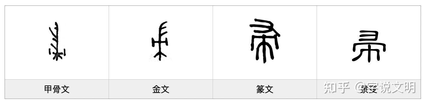 帚——每日一字·巾部字 - 知乎