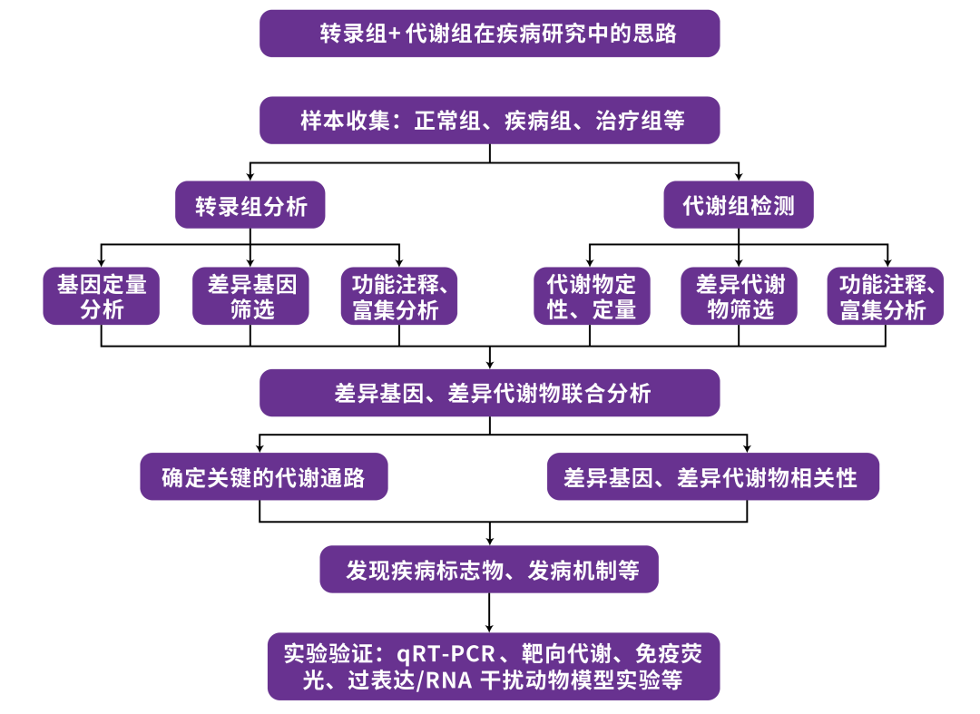 从经典案例看转录组+代谢组在疾病研究中的思路 - 知乎