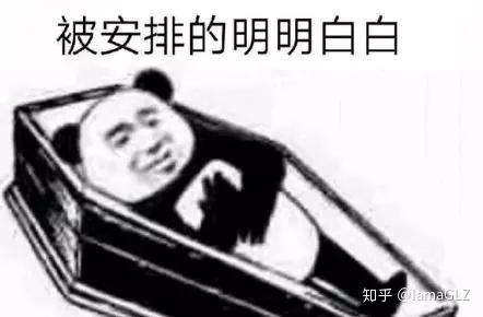 996什么梗啊 v2-264d4062fa4f2f0f663d4c36026969d9_r.jpg