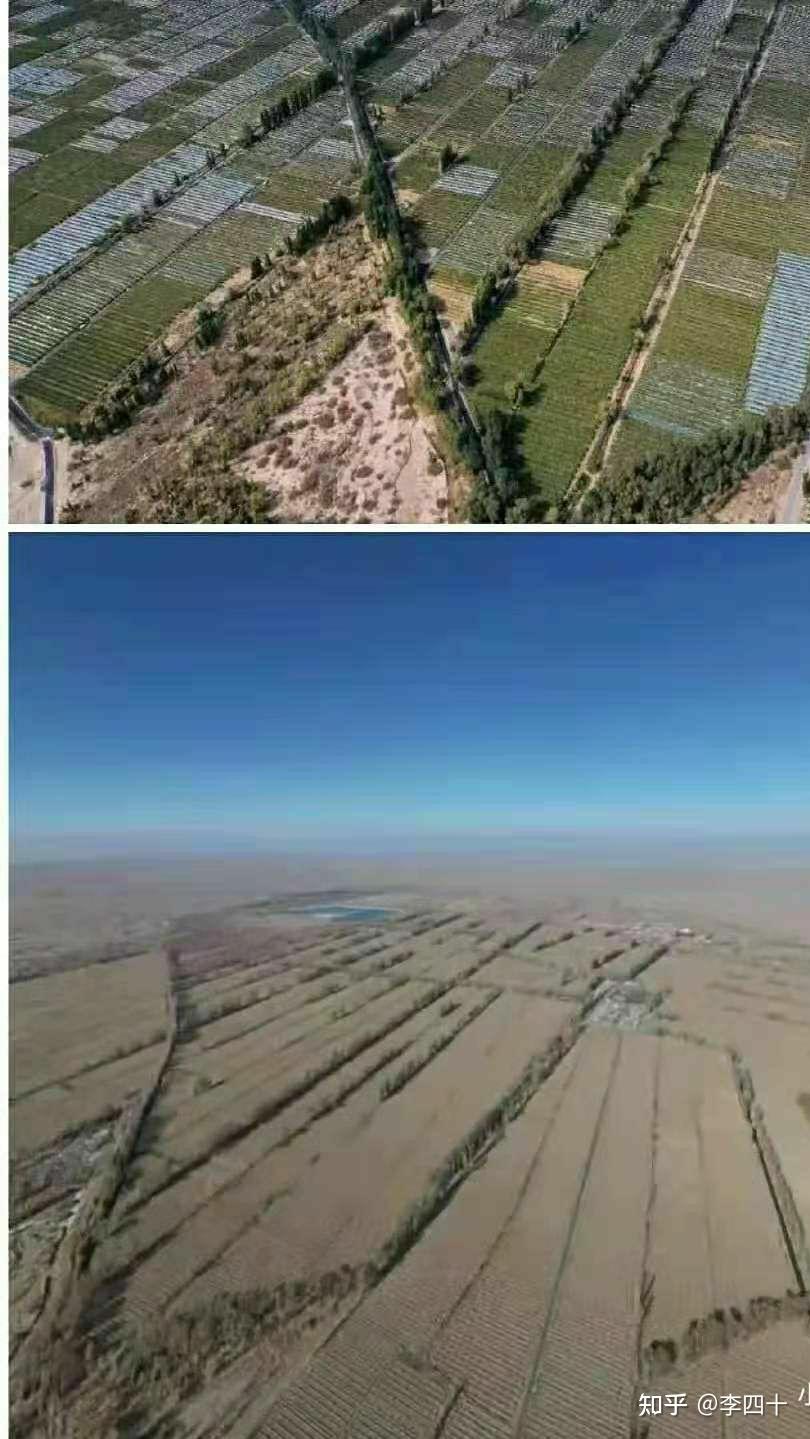 对于敦煌阳关林场万亩防护林遭剃光头式砍伐以葡萄园来作为替代品防沙