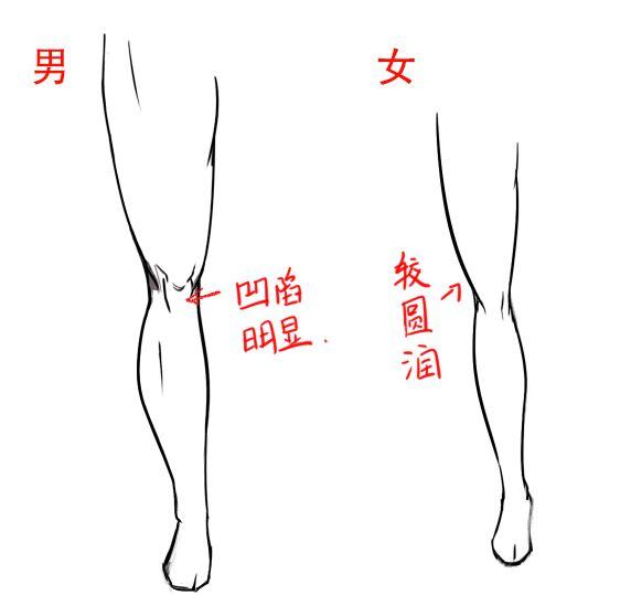 第九篇腿部与脚的画法丨阿汤哥美术教程