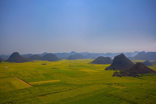 3月至7月 中国最靠谱的追花指南 知乎