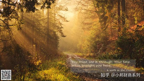 现代科技与自然奇观的交融