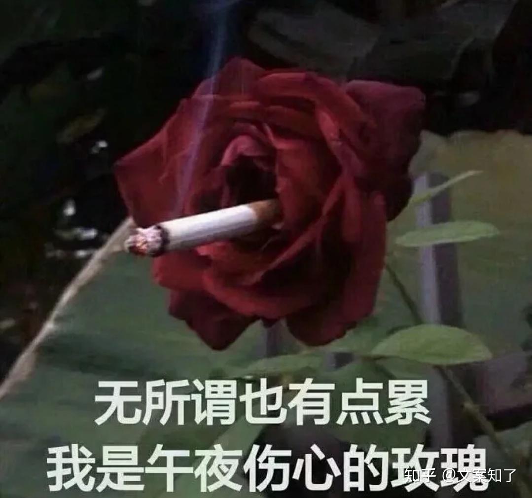 文案關於那些熬夜的自嘲搞笑文案