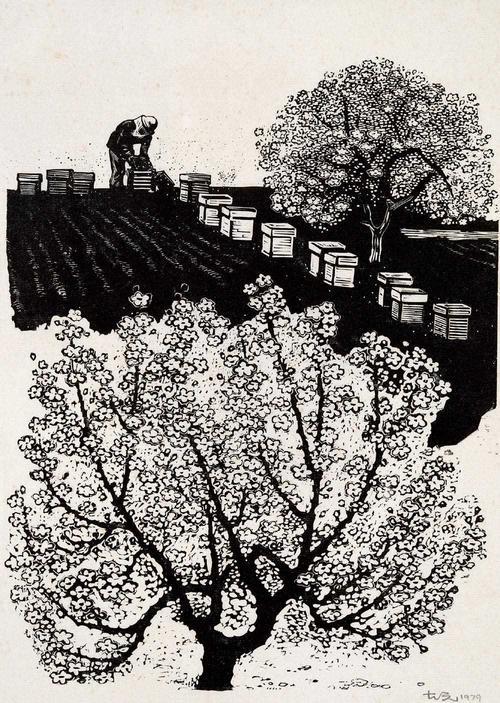 今天说一位不一样的画家中国版画界卓绝之天才版画家古元