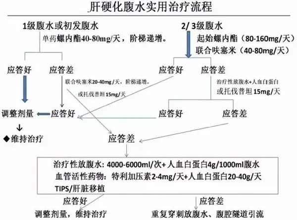 肝硬化腹水的治疗最新指南 知乎