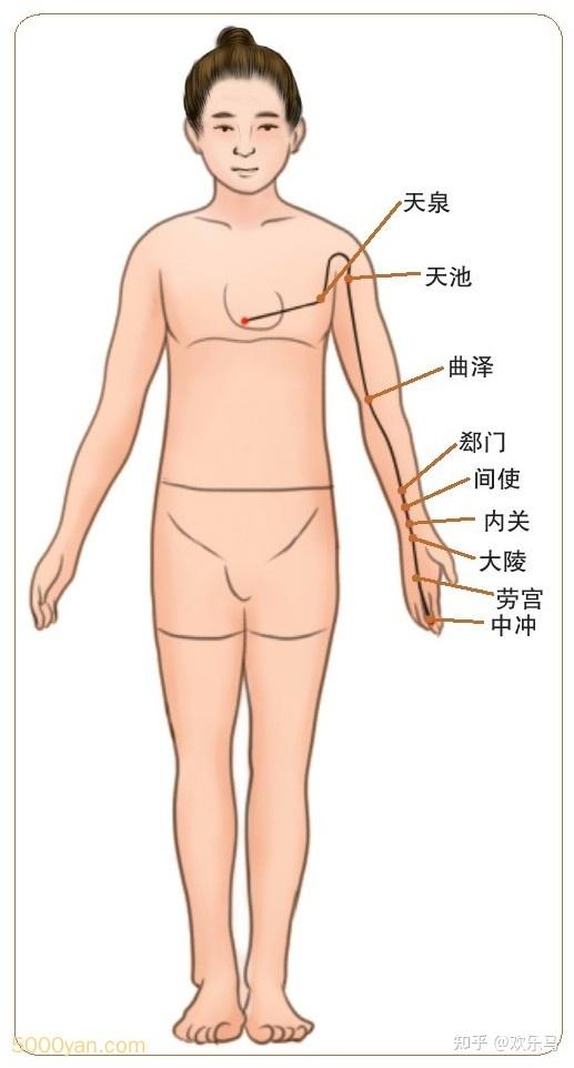 心经络图走向起始点图片