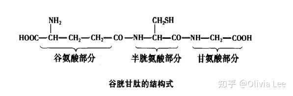 聊一聊谷胱甘肽的解毒作用