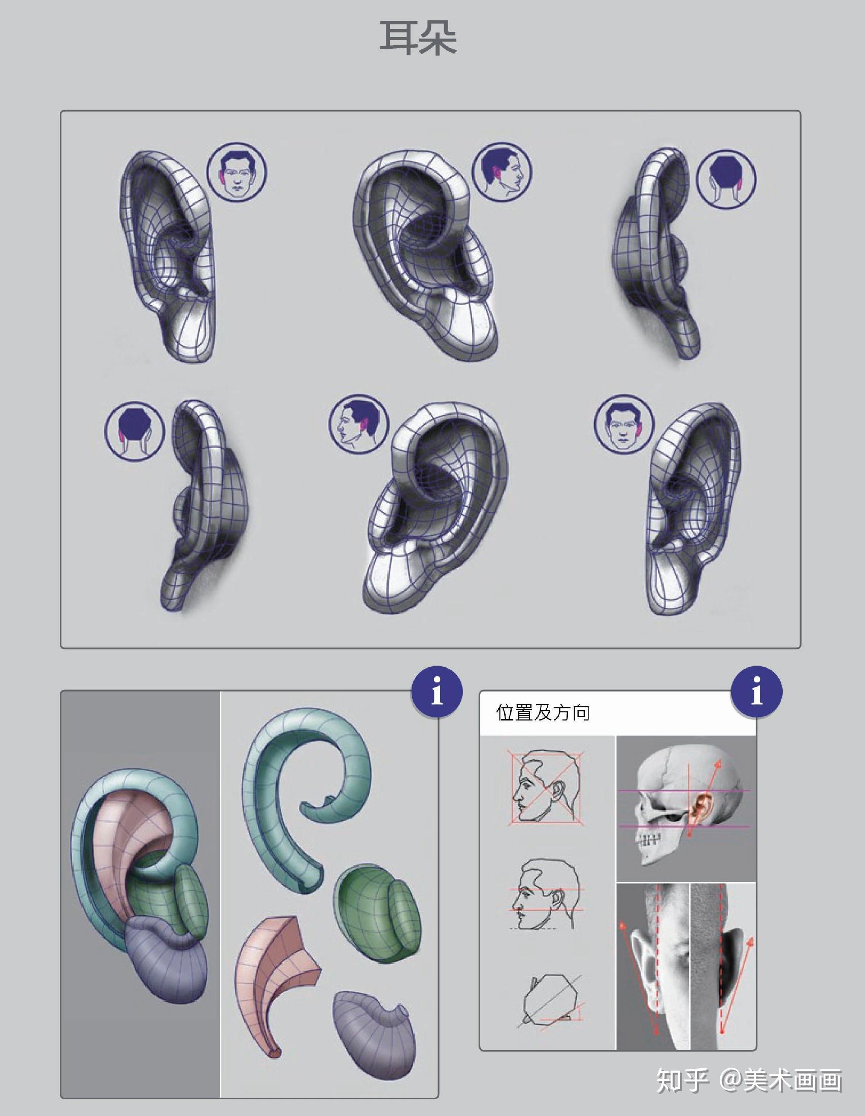 素描入门 石膏耳朵的画法步骤分析 - 知乎