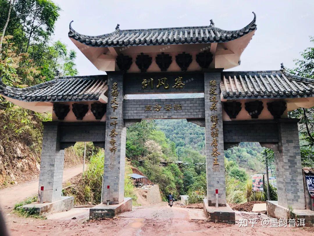 刮风寨高杆古树茶山韵悠远香幽质柔