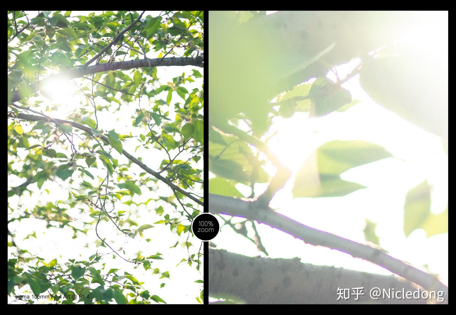 Sigma收購鏡頭