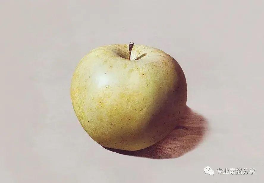 素描静物