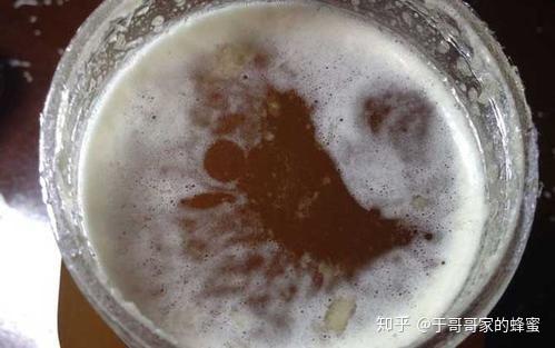 如何判断发酵状态 v2-26d8457e39ecc0f25fd42bfc6ab69271_r.jpg