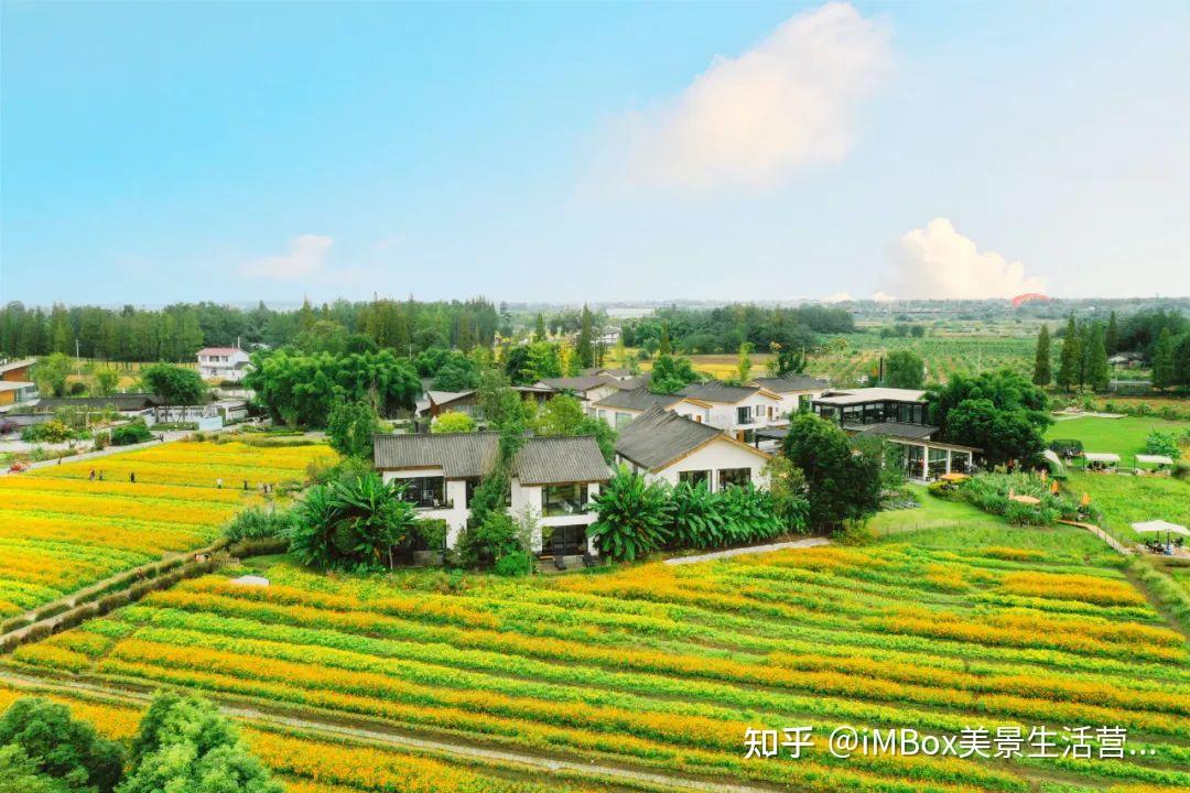 imbox推荐魔镜安仁南岸美村是我见过最美的公园