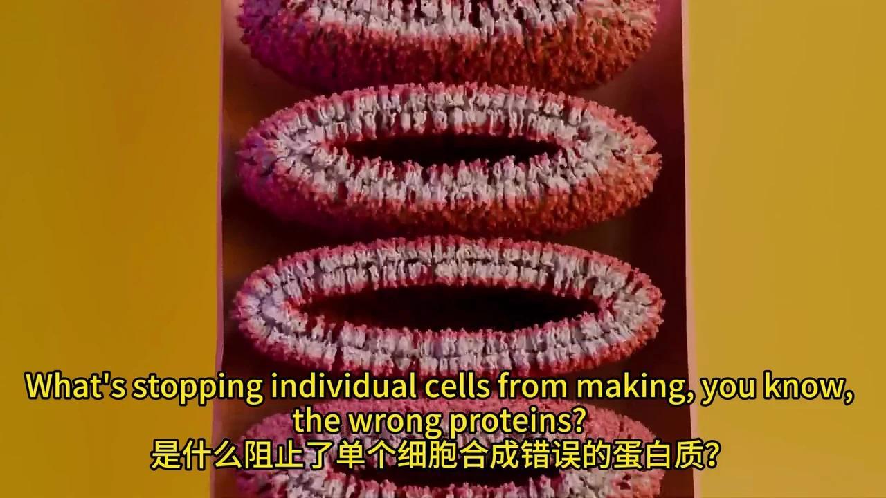 彻底解密DNA转录与mRNA剪接:动画揭秘生物学奥秘 - 知乎