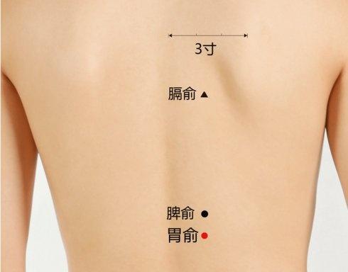下次胃痛按摩这几个穴位,比吃药快得多! - 知乎