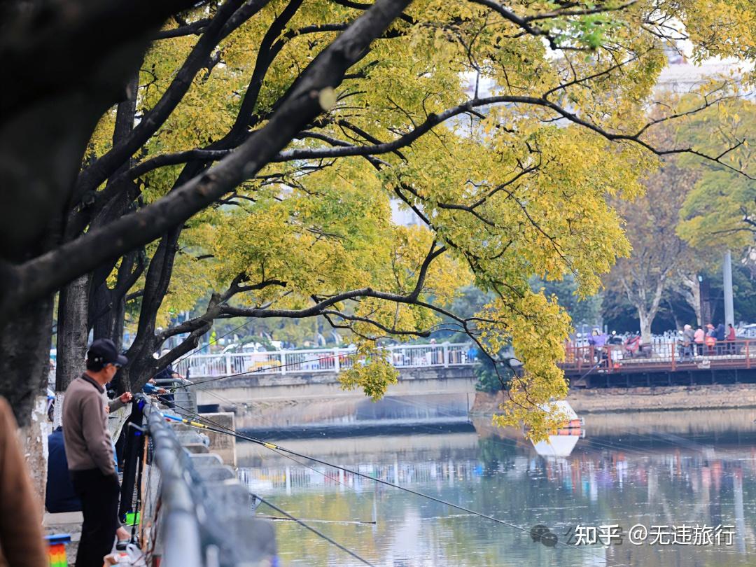 昆明滇朴披金:大观河风景独好!(附美图) - 知乎