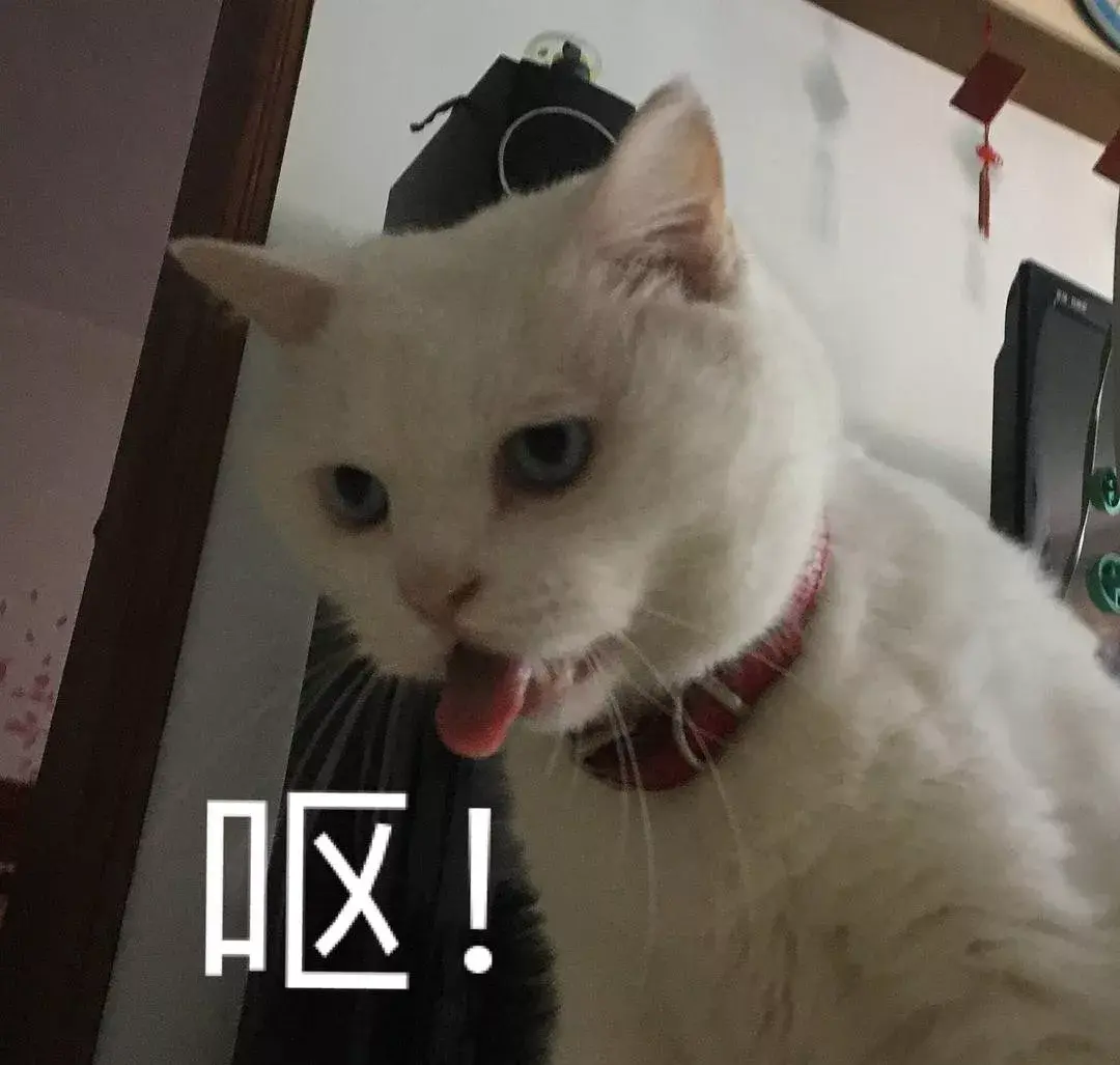 那些支撑我活下去的表情包 - 知乎