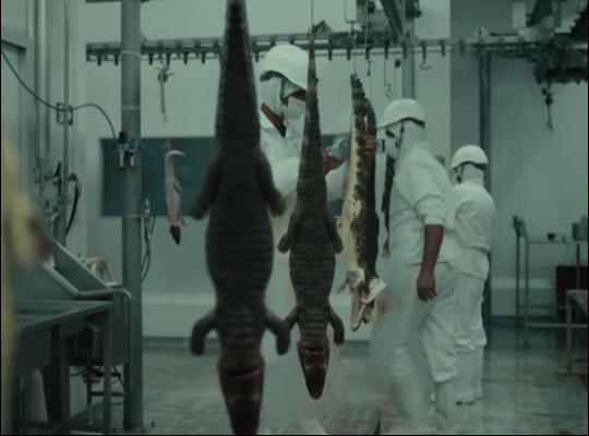 《天空的另一面》这部被忽视的奇幻片拿了柏林银熊奖