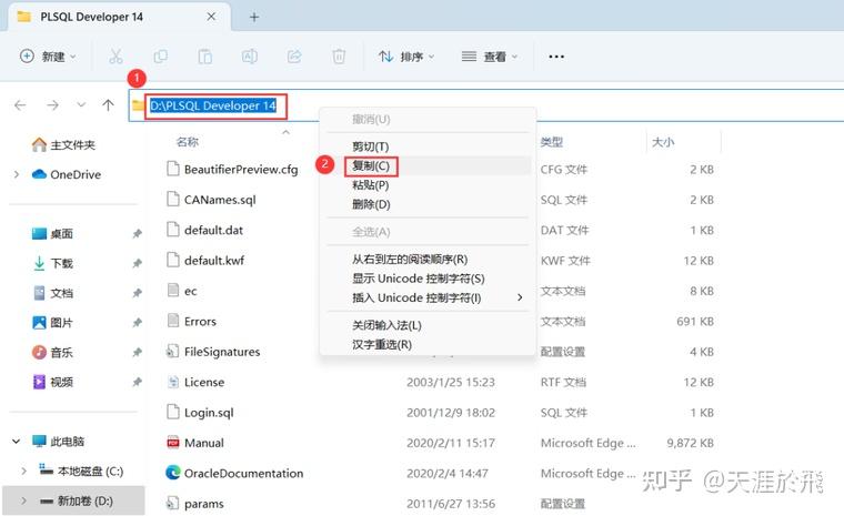 PLSQL Developer 14软件包下载附安装教程 - 知乎