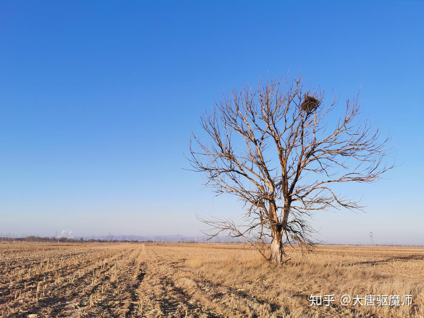 地势坤，君子以厚德载物- 知乎