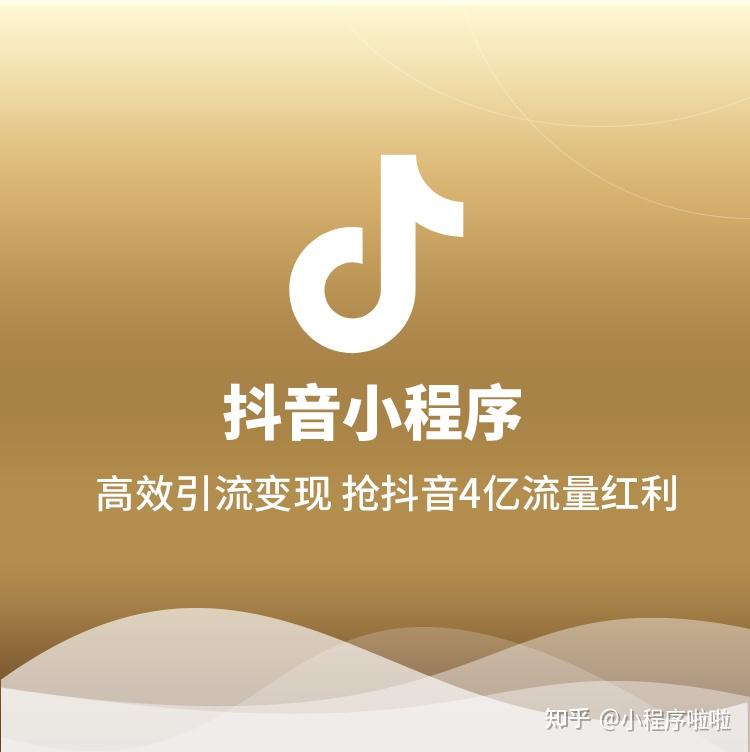 抖音软件开发_青岛抖音_青岛抖音小程序开发