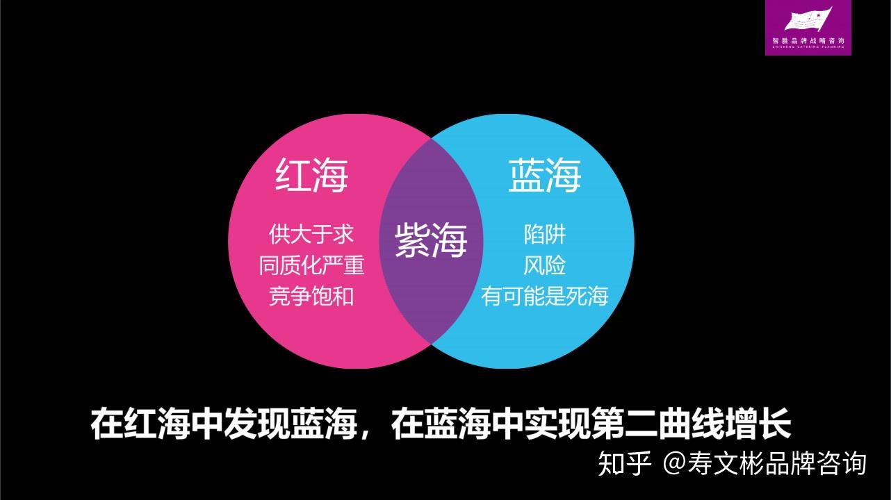 破解消费者需求密码提炼消费者购买理由紫海战略第二期