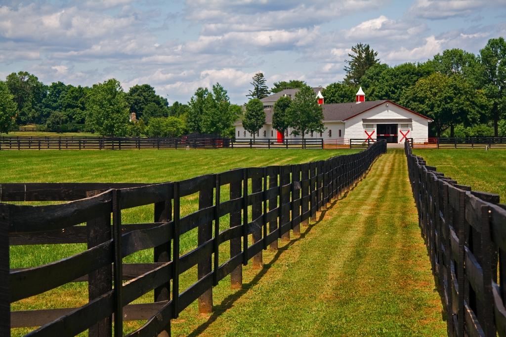 亚马逊畅销书小马俱乐部历险记连载0106