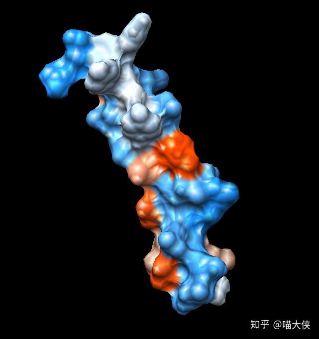 2-β折叠,也称strand,是蛋白质中