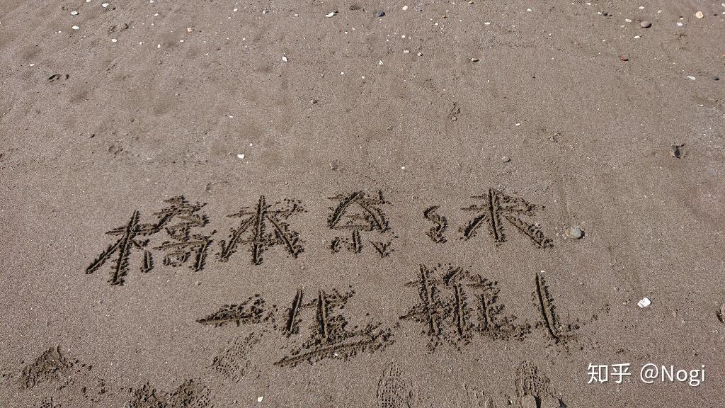 盛夏的开始和我漫长的7月