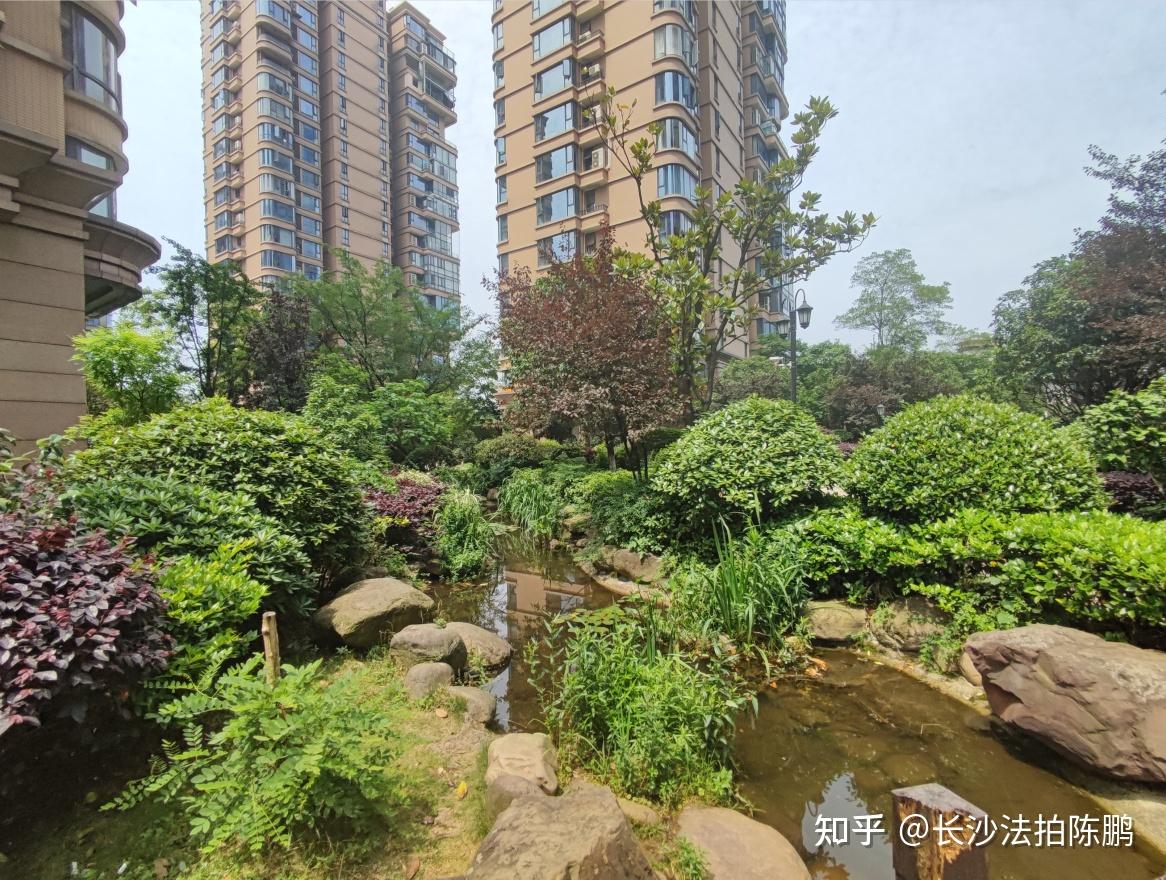 降88万，一线江景大平层，精装湘江雅颂居法拍房！ - 知乎