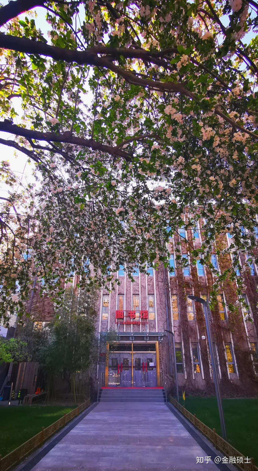 中国社会科学院大学望京校区校园景色花家地的春天