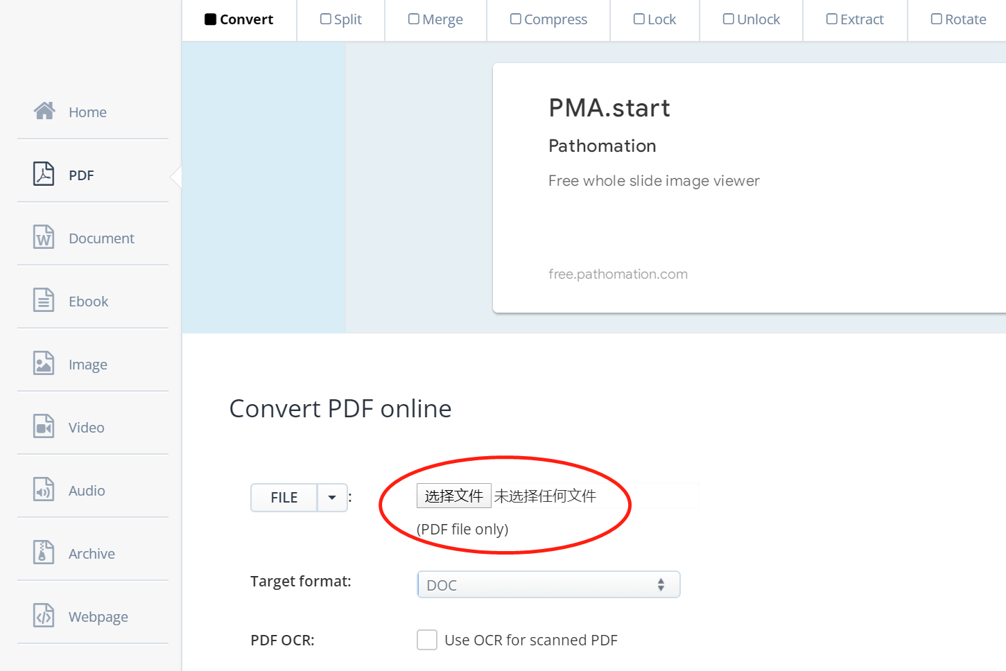Pdf word 