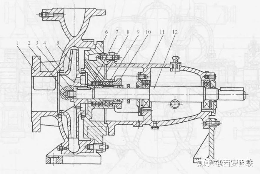 单级泵结构图图片
