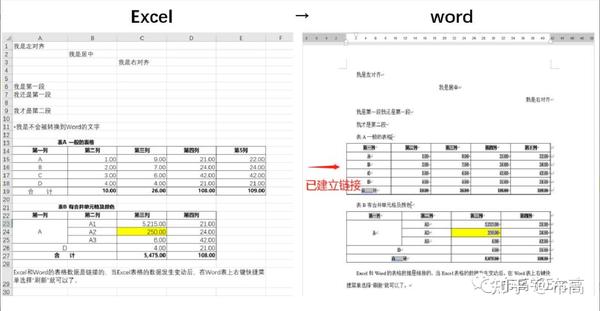 excel-word