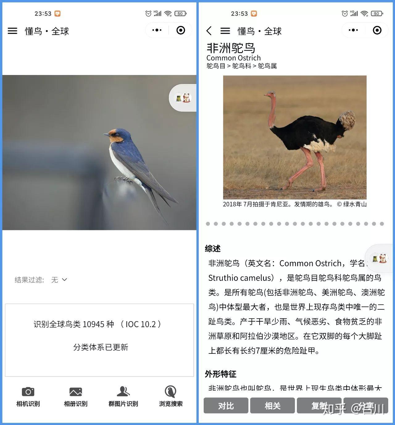 你可以通过照片,就可以识别出鸟的种类,名字和详细的介绍.