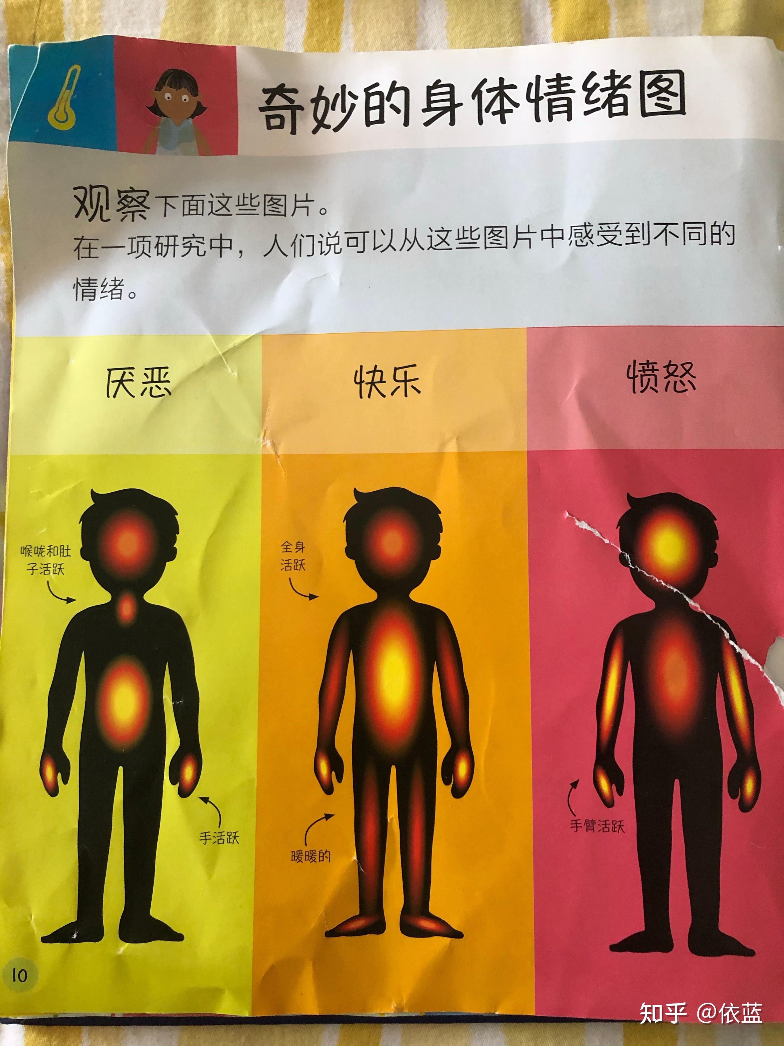 读dk绘本,了解情绪(一):四种主要情绪