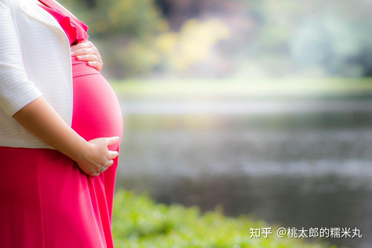 怀孕的 知乎