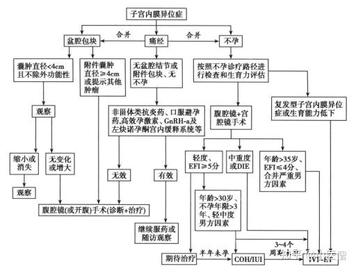 【病因與發病機制】