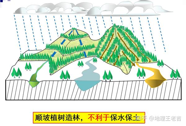 高考地理原创画图解题5葡萄与顺坡垄
