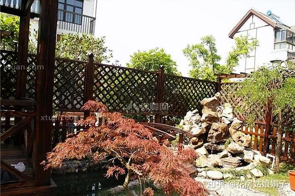 家有小院，一定要种棵树，适合种在院子里的5种树，选一棵种上吧 - 知乎