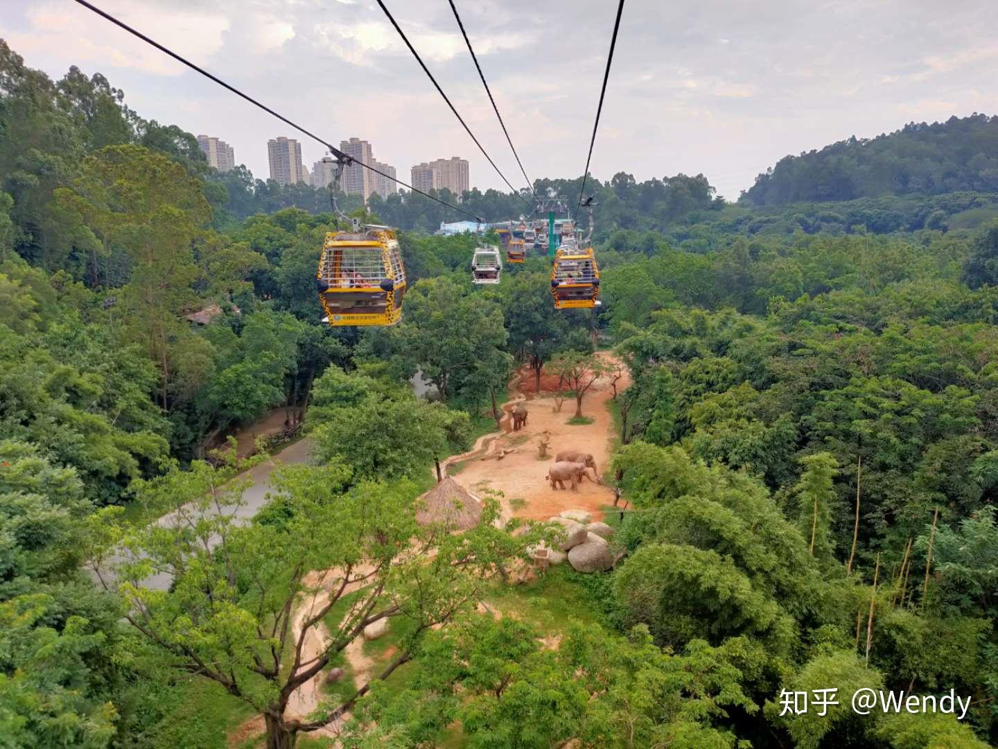 广州长隆野生动物园攻略