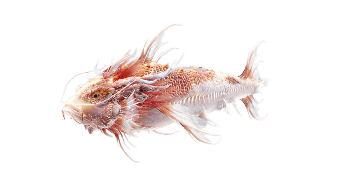 【上古载具—龙鱼】